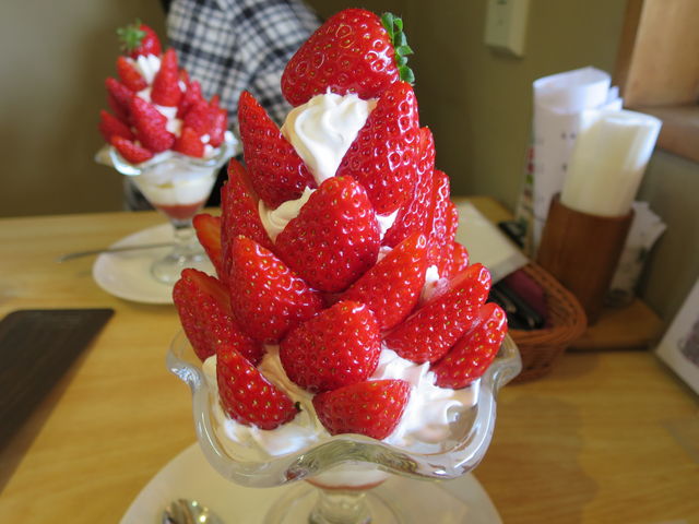 ҂҂낳̓̉waHւE܂Xe[V̓eʐ^1