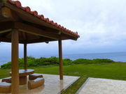 sazae3����̋v�����̓��e�ʐ^1