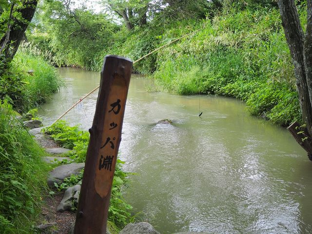 ��Ԃ̍\�}�B�G�ɂ͂Ȃ�܂��B_�J�b�p��