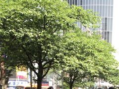 ₳̏aJwOXNu_ւ̓eʐ^1