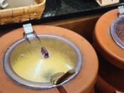 񂯂񂳂̋ƕ CI[kԓcX̓eʐ^1