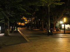 夜はちょっと不気味 でも素敵 井の頭恩賜公園の口コミ じゃらんnet