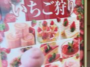 }񂳂̋ƕ CI[ߌΒnX̓eʐ^1