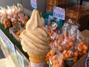 ���Ԃ���̓��̉w�@�k��������݂뉮�̓��e�ʐ^1