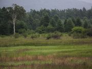 Yanwenlȉc㌴̃AU~Q̓eʐ^4