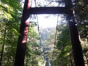 dai-neko̓Xь̓eʐ^1