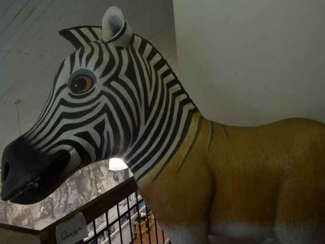 ���̃I�u�W�F�́H_��򑍍��ē��Z���^�[