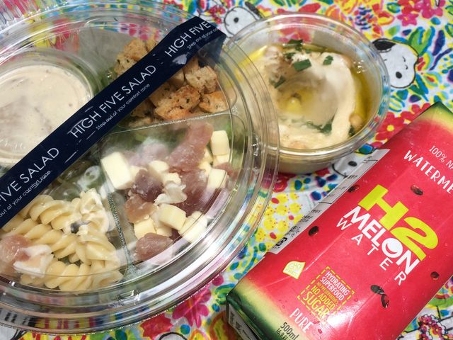 iVizŔ̂ŃsNjbN_L{LO