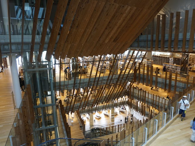 �{�ݓ�_�x�R�s�K���X���p��