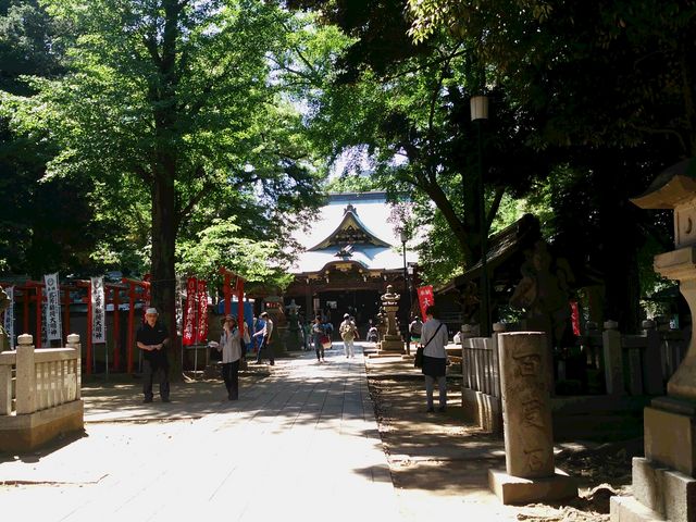 �S�q��_��_�S�q��_��