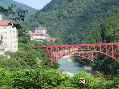 �Ђł���̍������J�S���ւ̓��e�ʐ^1