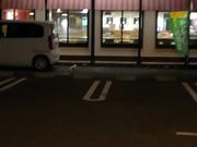 ҂[̃KXg t≺X̓eʐ^3