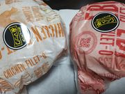 ւ̃}Nhih153{VX̓eʐ^1