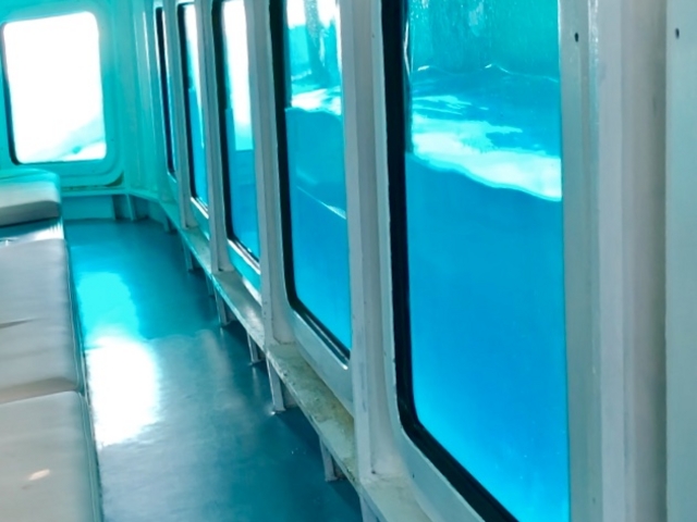 �D�ꂪ�������Ă�����_���ƂԌ��C��