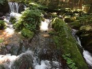 poporon̉Z̑(ዷZ)̓eʐ^4