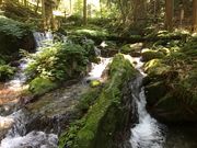 poporon̎ዷZ̓eʐ^5