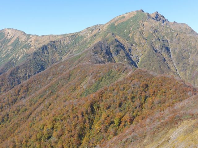 C[XgEbh̒JxEΑqVoR̓eʐ^1