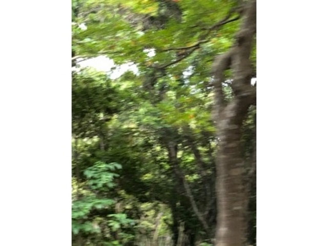 �ҁ[�̂���̜}�y��Վ���A�������̓��e�ʐ^1