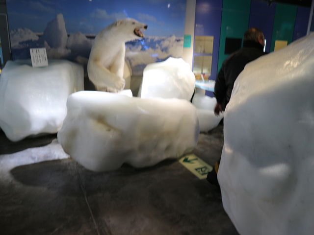 ���X�̌���_�I�z�[�c�N���X��