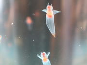 kukĩIz[cNXق̓eʐ^2