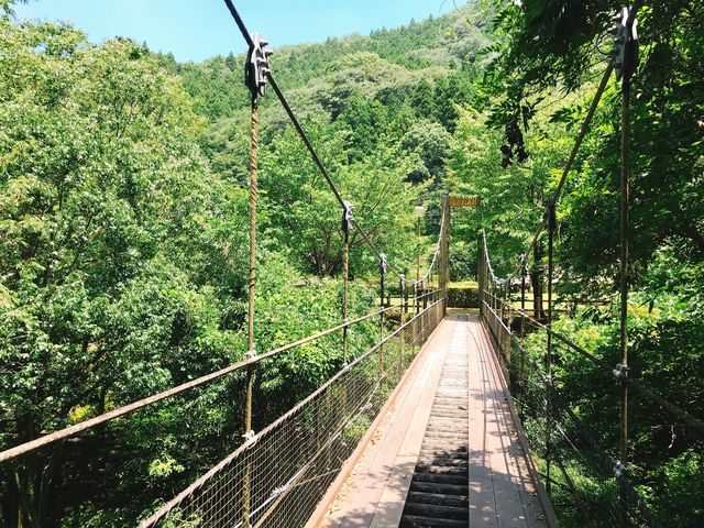 大村 砂防公園 ペット ストア