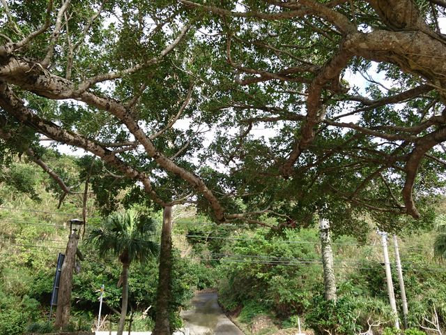 �������]�[�g�΂���R��