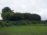 TKS̑卂슯ɈՂ̓eʐ^1