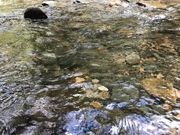 G̍،kJES썻h̓eʐ^4