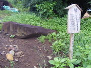 tos̑卂슯ɈՂ̓eʐ^1