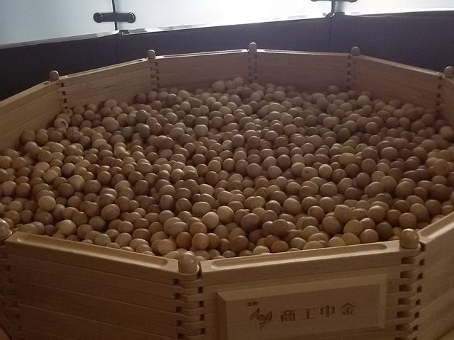 �������q���V�ׂ܂��B_�����Ȃ��ǂ��V�w�فi���H�s���ǂ��V�w�فj