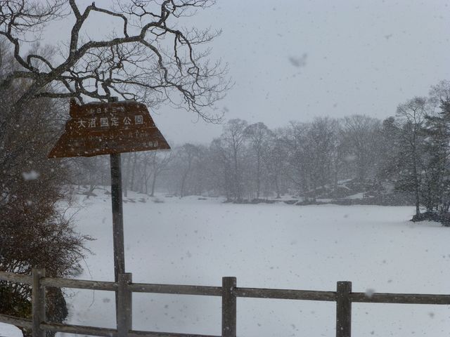 ��i�F_����������