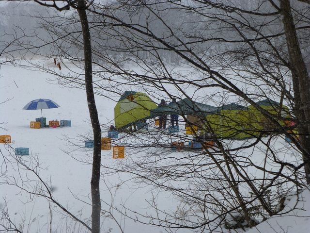 ���J�T�M�ނ�_����������