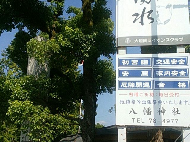 ��_�̗N��_��_�����_��