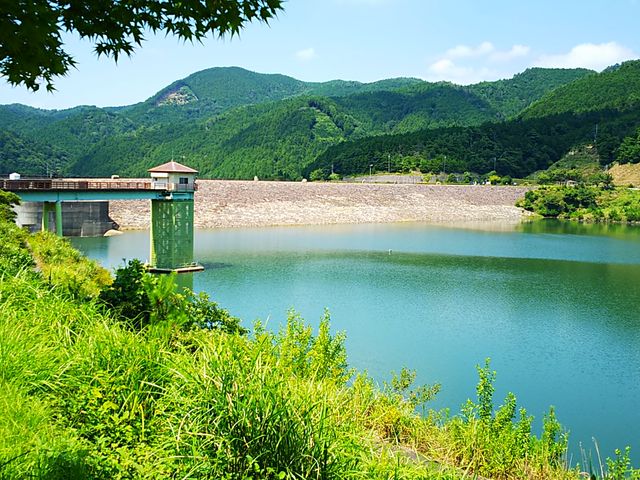 �_����_�y�_��