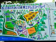 ˂񂳂̐y_GR[oC̓eʐ^1