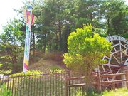 ˂񂳂̐y_GR[oC̓eʐ^3