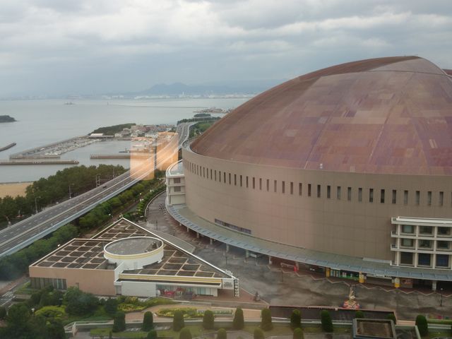 ���N�I�N!�h�[��_�݂���PayPay�h�[������