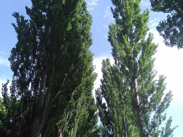 �k��C�`���E����