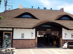 ܂̋Muwi܃~[WA jւ̓eʐ^1