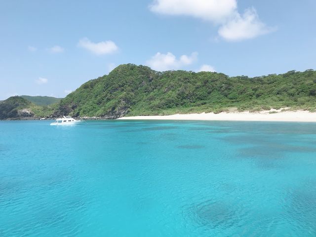 ���̓����x�d�т�����B_�A���t�@�_�C�u�k�J�X