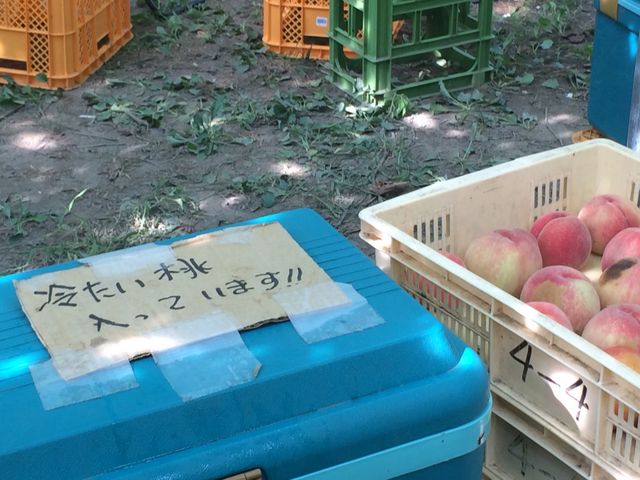 �₦�����⊮�n�v�������ǂ���_�����_��