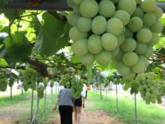 イ̎Rʎ&JtFւ̓eʐ^1