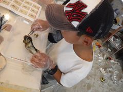 REJCpp̐^삾̌@a{^Xւ̓eʐ^1