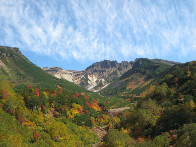 ���ꂽ���i�������܂�_�\���x���򓒌����_�t