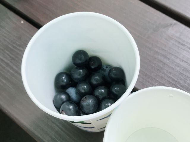 ���y�Y�̓E�ݕ���r���ł��B�Ō�͈��邮�炢�܂œE�݂܂����B�E�̃R�b�v�͗N�������ޗp�̃R�b�v�ł��I_���ꂢ��Ђ邸