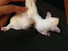 kim189̃Aj}JtFsvcւ̓eʐ^1