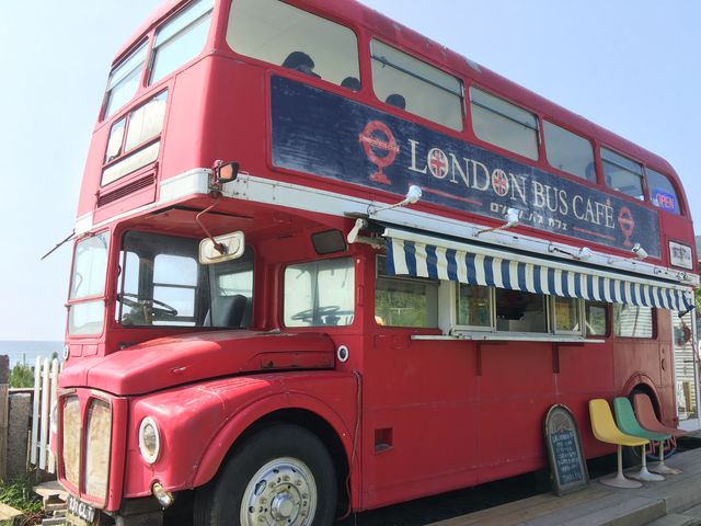 �����h���o�X�J�t�F_������ƃI�V�����Ɏ����f�[�g�R�[�X