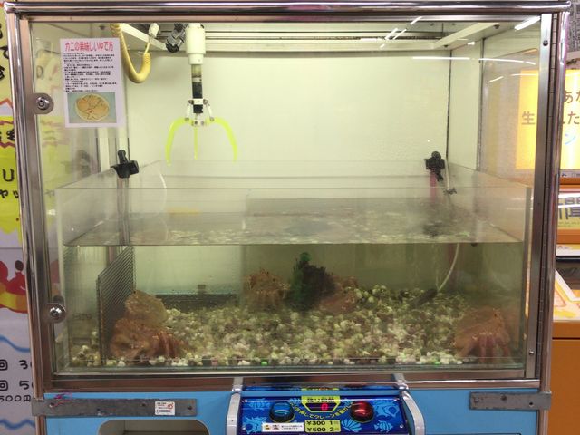 �уK�j�L���b�`���[_���H�t�B�b�V���[�}���Y���[�tMOO�EEGG