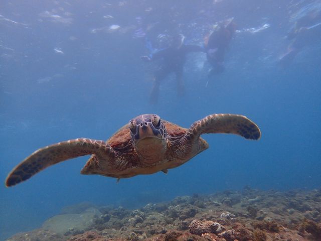 �����J�����Ŏʐ^���B���Ă���܂����I�掿���Y��ŁA�ꐶ�̎v���o�ɂȂ�܂�(^^)_�G�o�[�u���[���v��