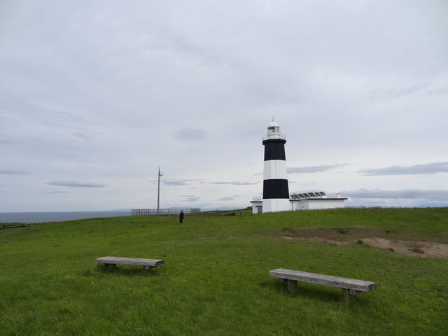 �����͗l�̓��䂪���킢��_�\�斦�C��